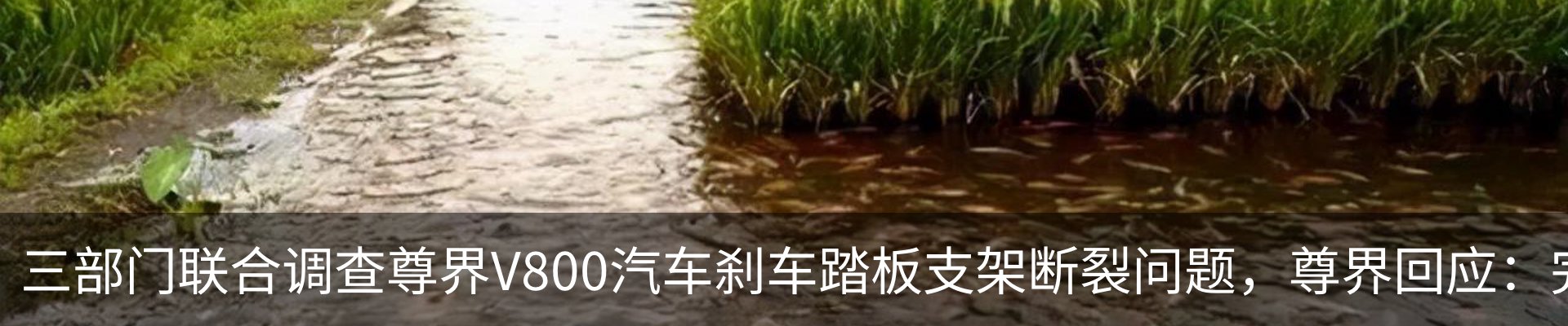 行业资讯