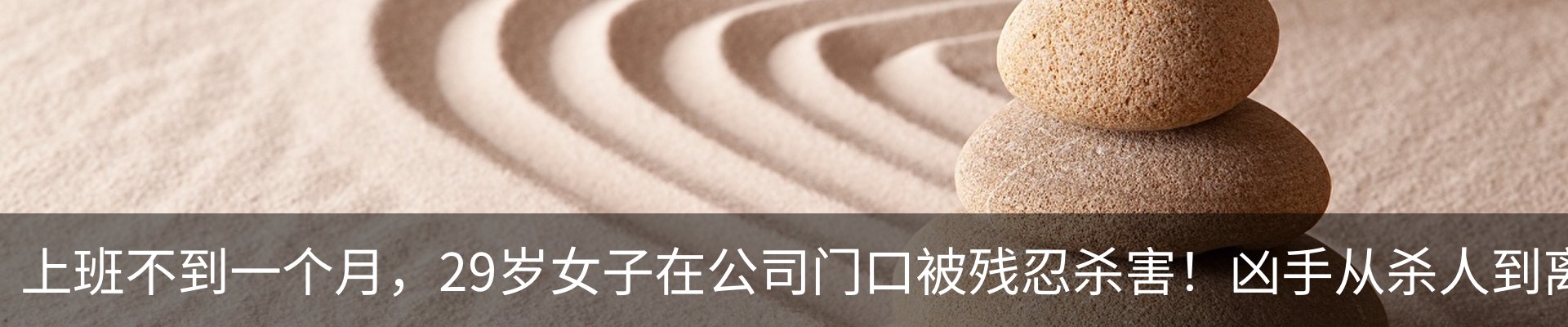 行业资讯