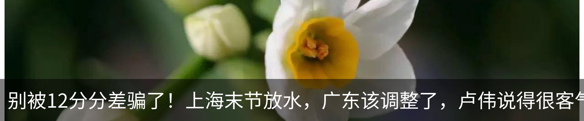 行业资讯