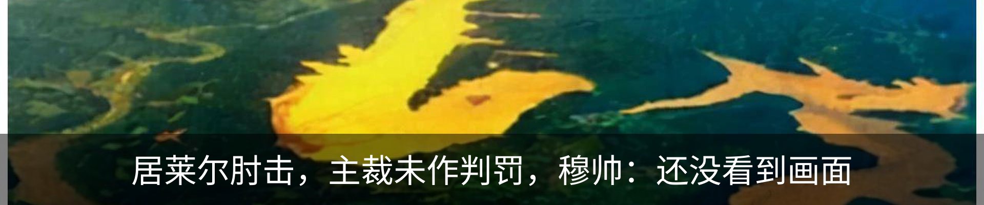 行业资讯
