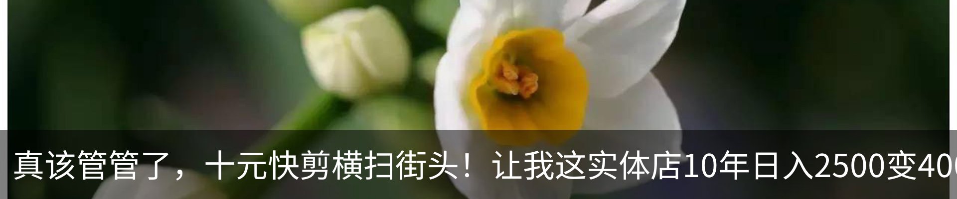 行业资讯