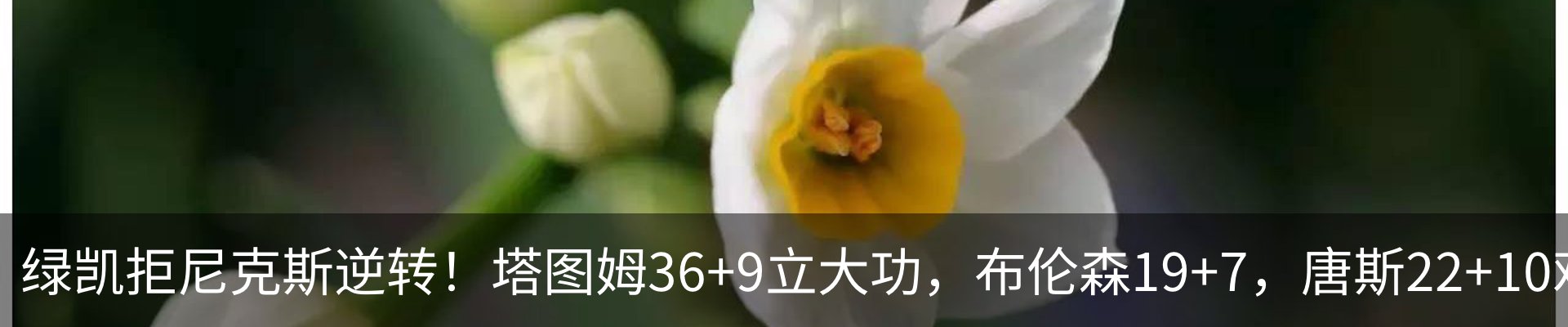 行业资讯
