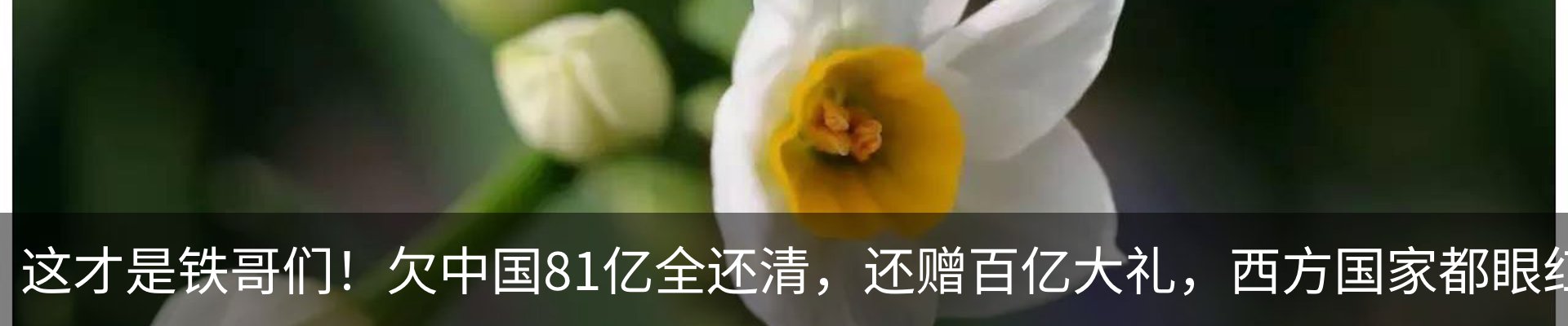 行业资讯