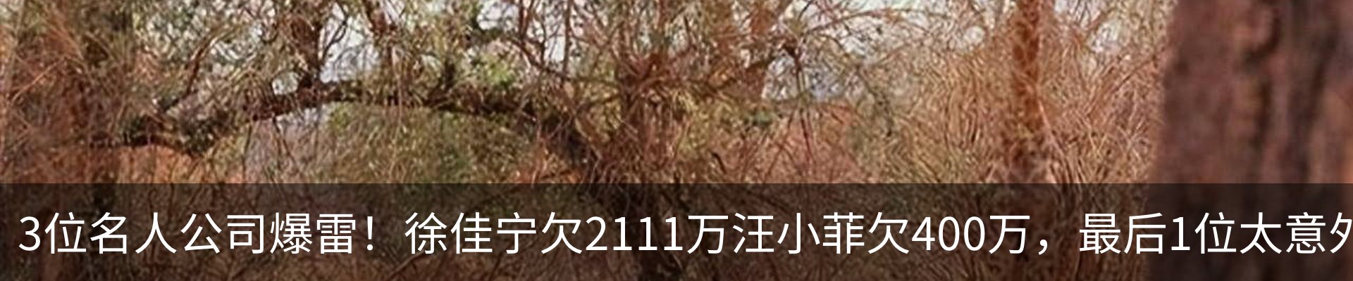 行业资讯