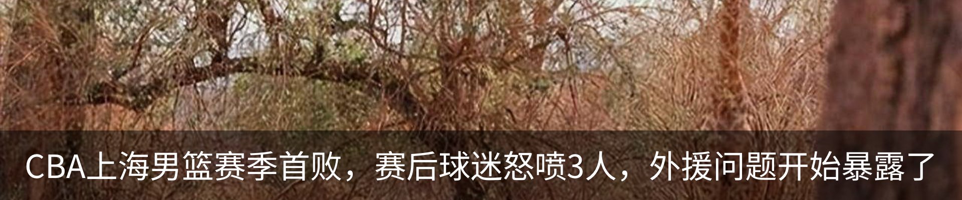 行业资讯
